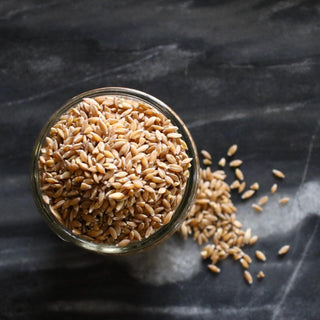 Organic Einkhorn Wheat Berries
