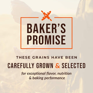 Organic Hard Red Wheat Berries