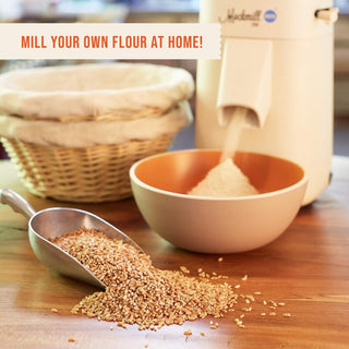 Organic Hard Red Wheat Berries