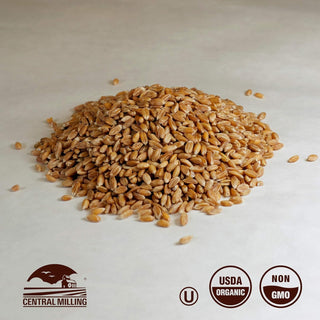 Organic Hard Red Wheat Berries