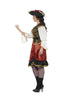 Plus Size Pirate Lady Costume
