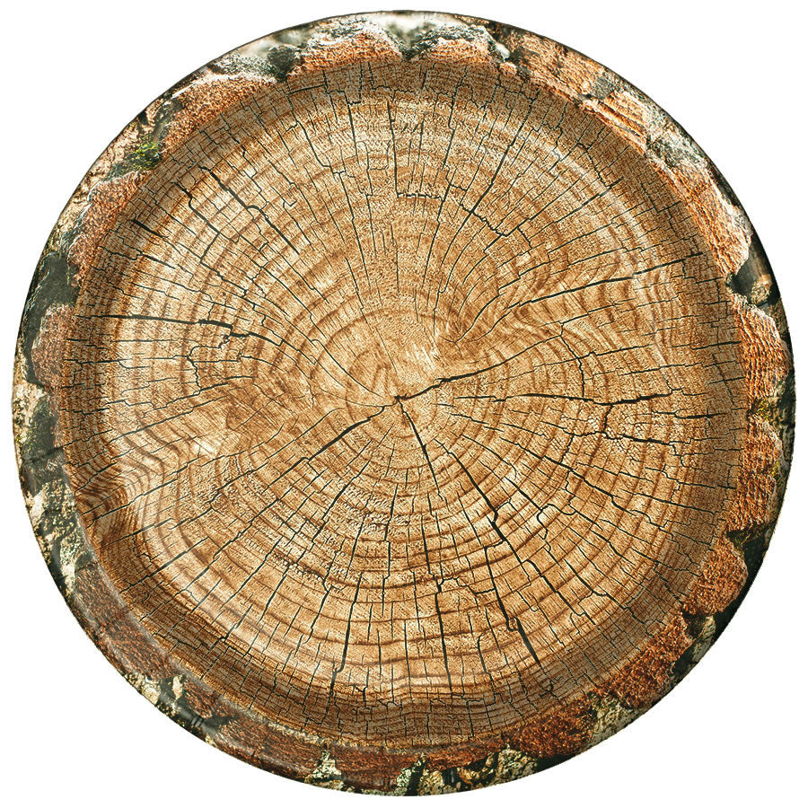 Rustic Cut Timber Dinner Plates- 10 inches/8 Pack