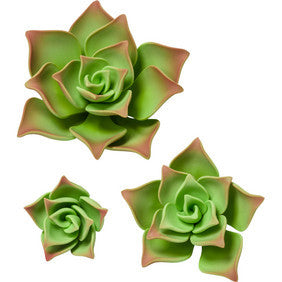 succulent emporium Green Succulents Gum Paste Flowers
