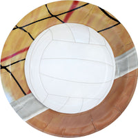 Volleyball Party Dinner Plates