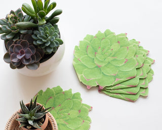 succulent emporium Succulent Party Tablecover