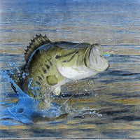 Gone Fishing Luncheon Napkins - /16 Count - 2 Ply
