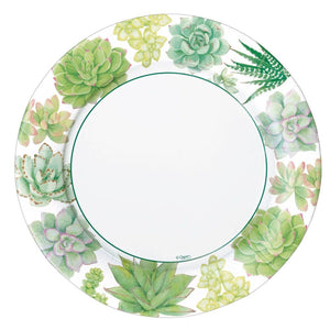 Fancy Succulent Dinner Plates 8ct
